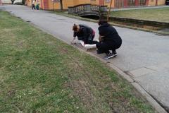 IMG_20230320_163137