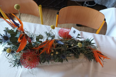 IMG_20230427_120424