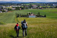 IMG_20230614_100213