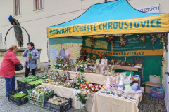 IMG_20230402_100633