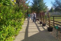 IMG_20221004_154723