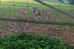 IMG_20221004_172217